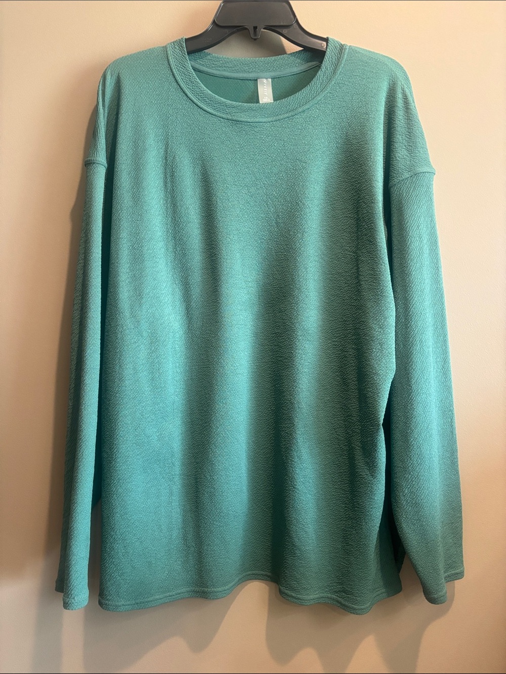 Women's Crewneck Long-Sleeve Polyester Top in Aqua